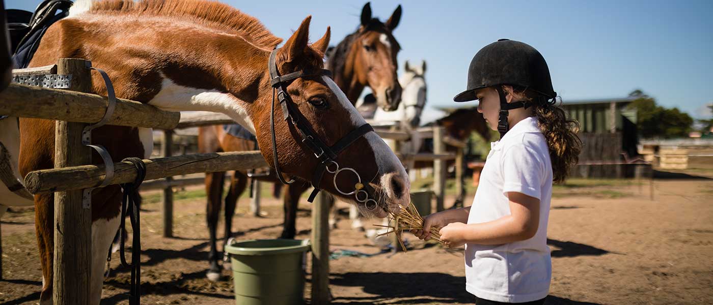 La-importancia-de-un-buen-pienso-en-la-alimentación-de-tus-caballos