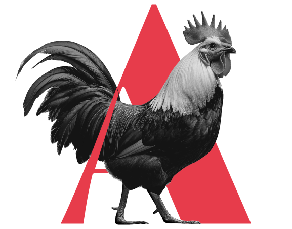 Productos para Aves