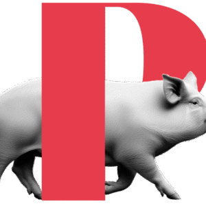 Animales producción