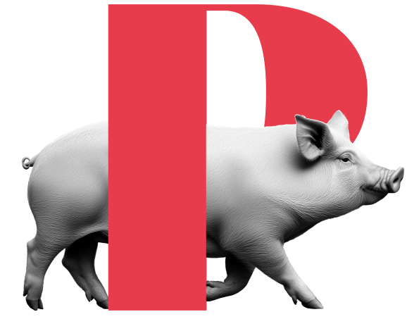 Animales Producción