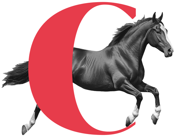 Productos para Caballos