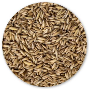 AVENA PELADA BIRD