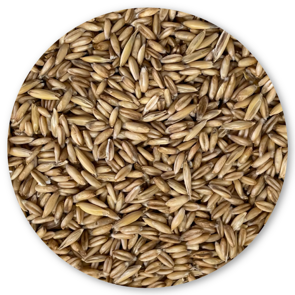 AVENA PELADA BIRD