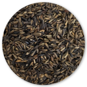 GIRASOL MICRO PREMIUM BIRD