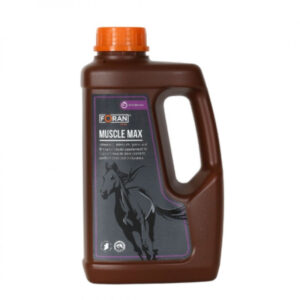 MUSCLE MAX 2,5L