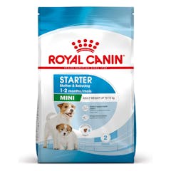 Mini Starter 4KG