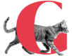 Productos para Gatos