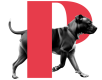 p-perro